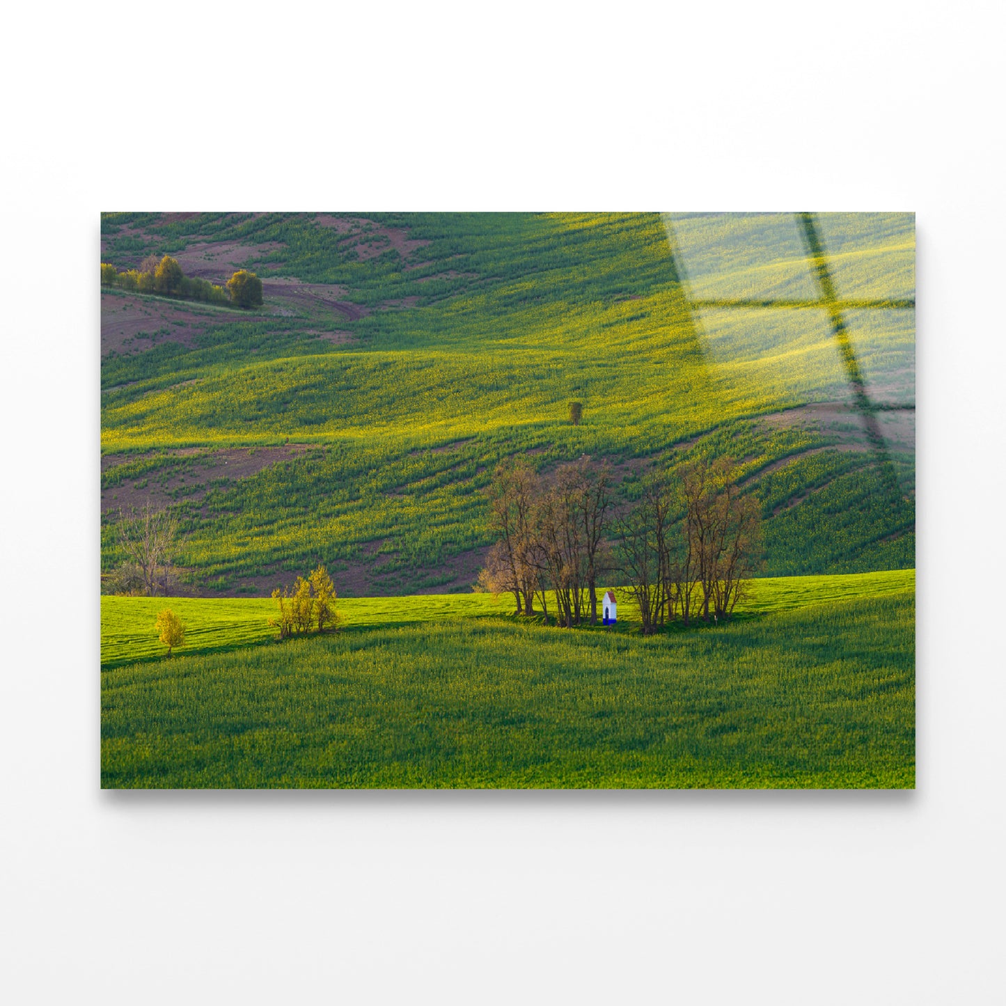 Person Sitting In a Meadow Acrylic Glass Print Tempered Glass Wall Art 100% Made in Australia Ready to Hang