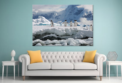 Antarctica Penguin Expedition  Wall Art Decor 100% Australian Made