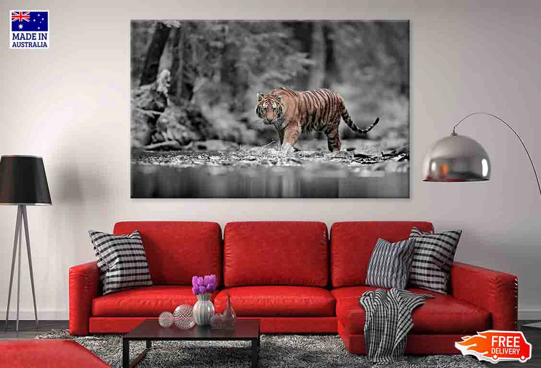 Blue Eye Tiger at Forested River 90x60cm Print 100% Australian Made