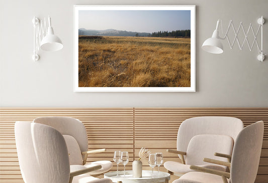 A Field Of Brown Grass with Trees in autumn Home Decor Premium Quality Poster Print Choose Your Sizes