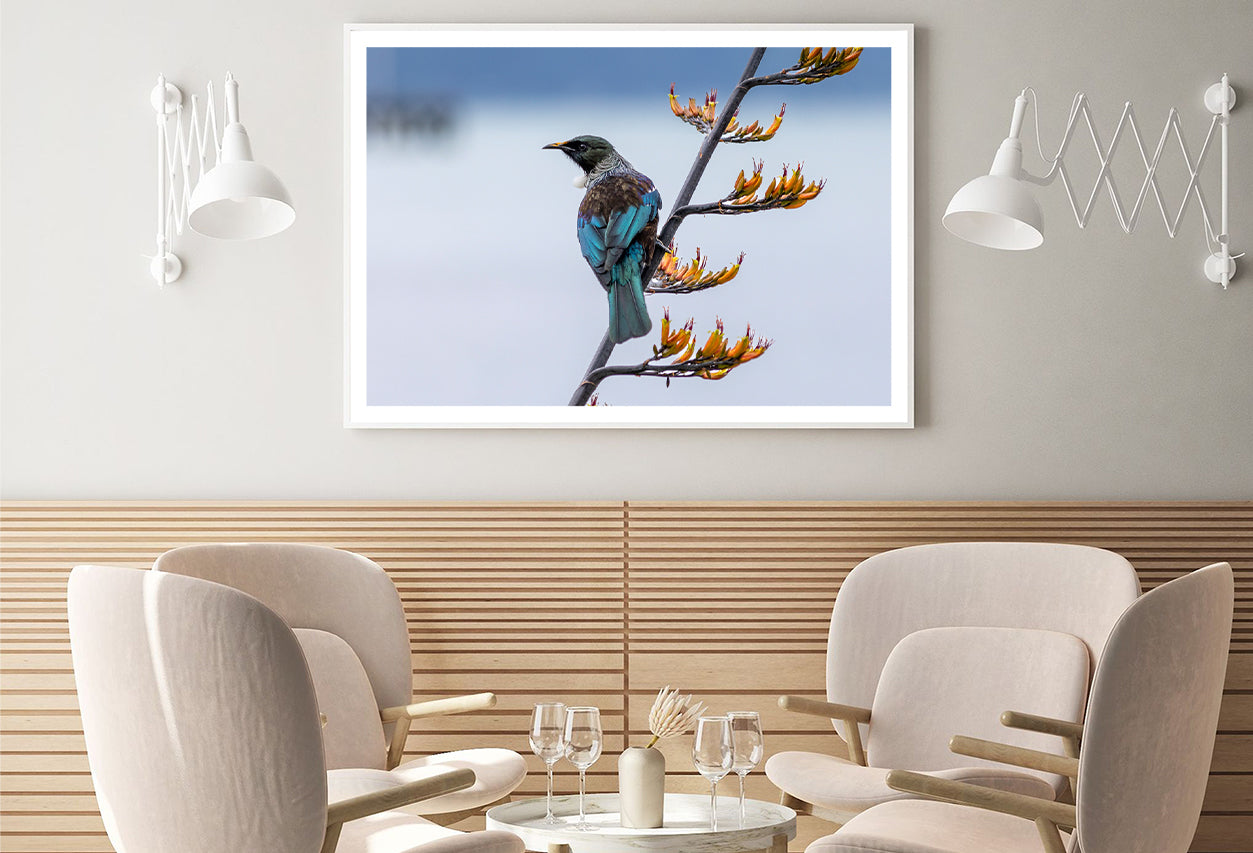 Tui Bird on New Zealand Flax Tree Home Decor Premium Quality Poster Print Choose Your Sizes