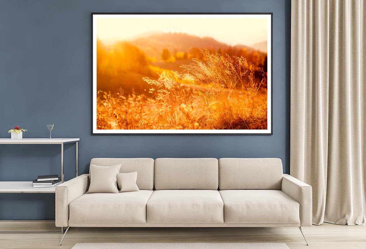 Field In the Sunlight Home Decor Premium Quality Poster Print Choose Your Sizes