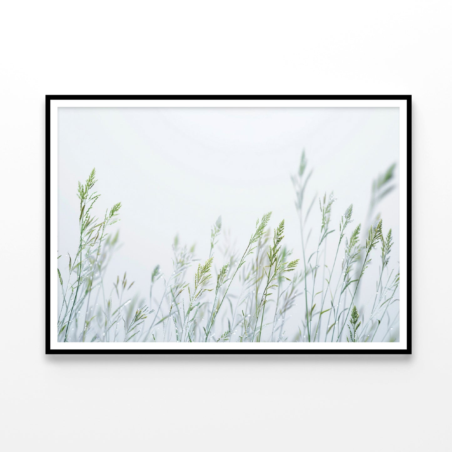 Group of Green Plants Field Home Decor Premium Quality Poster Print Choose Your Sizes