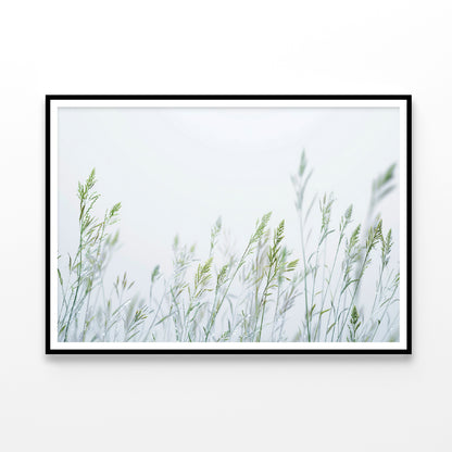 Group of Green Plants Field Home Decor Premium Quality Poster Print Choose Your Sizes