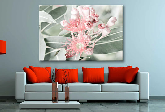 Pink Gum Flower Closeup Faded 90x60cm Print 100% Australian Made