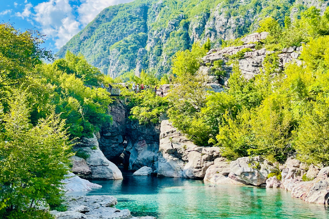 A River Surrounded By Trees and Rocks Print 100% Australian Made