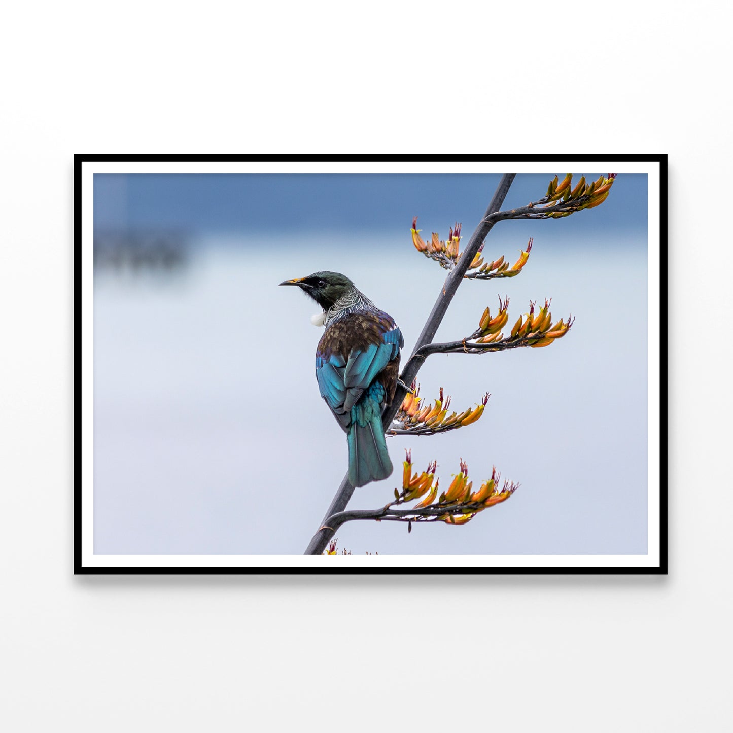 Tui Bird on New Zealand Flax Tree Home Decor Premium Quality Poster Print Choose Your Sizes