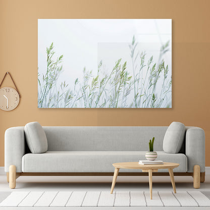 Group of Green Plants Field Acrylic Glass Print Tempered Glass Wall Art 100% Made in Australia Ready to Hang