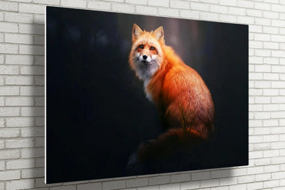 Fox View UV Direct Aluminum Print Australian Made Quality