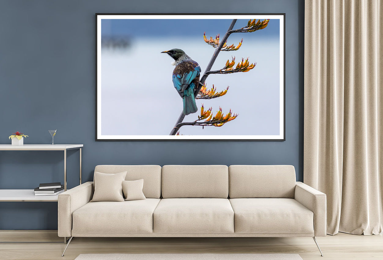 Tui Bird on New Zealand Flax Tree Home Decor Premium Quality Poster Print Choose Your Sizes