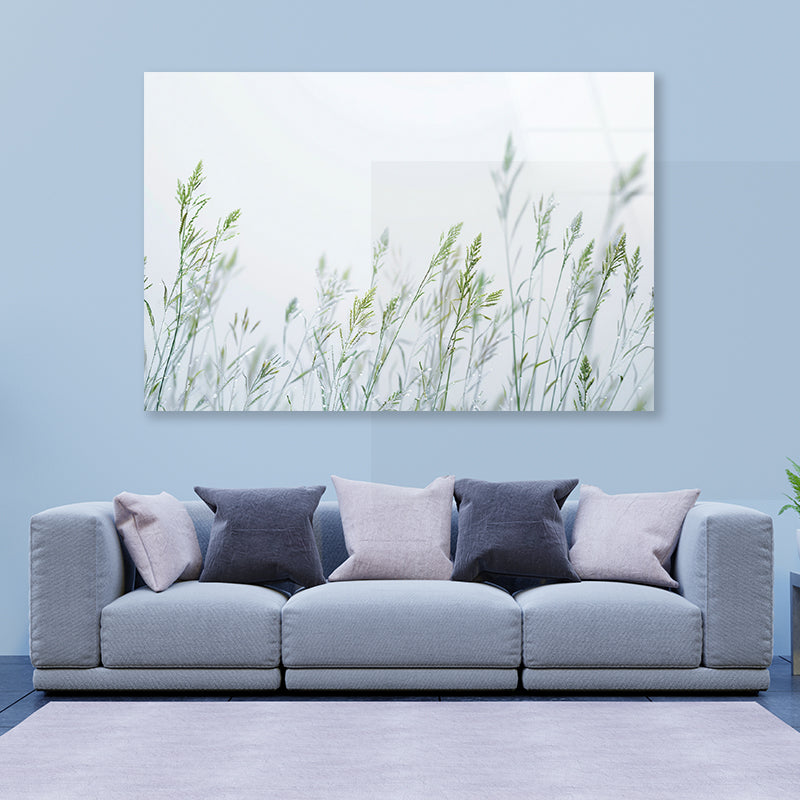 Group of Green Plants Field Acrylic Glass Print Tempered Glass Wall Art 100% Made in Australia Ready to Hang