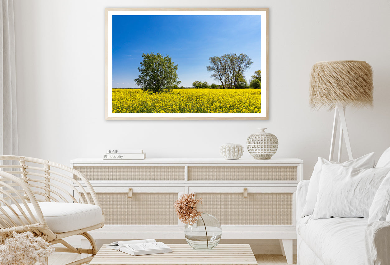 Yellow Canola Field with Trees Home Decor Premium Quality Poster Print Choose Your Sizes