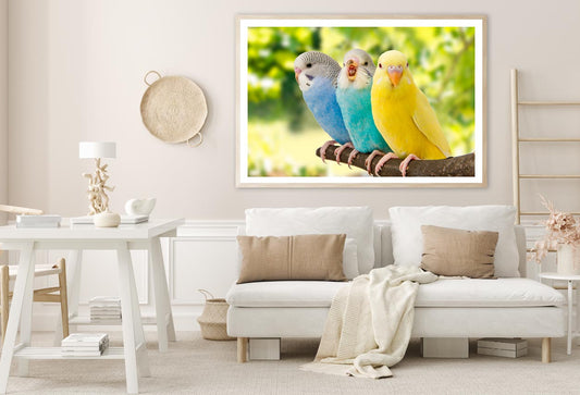 Budgies Are in The Roost on The Green Background Home Decor Premium Quality Poster Print Choose Your Sizes