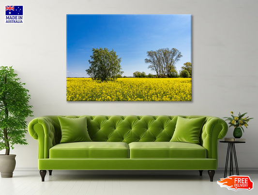 Yellow Canola Field with Trees Print 100% Australian Made