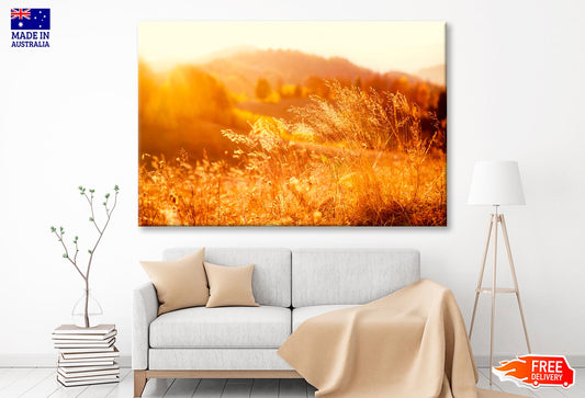 Field In the Sunlight Wall Art Decor 100% Australian Made