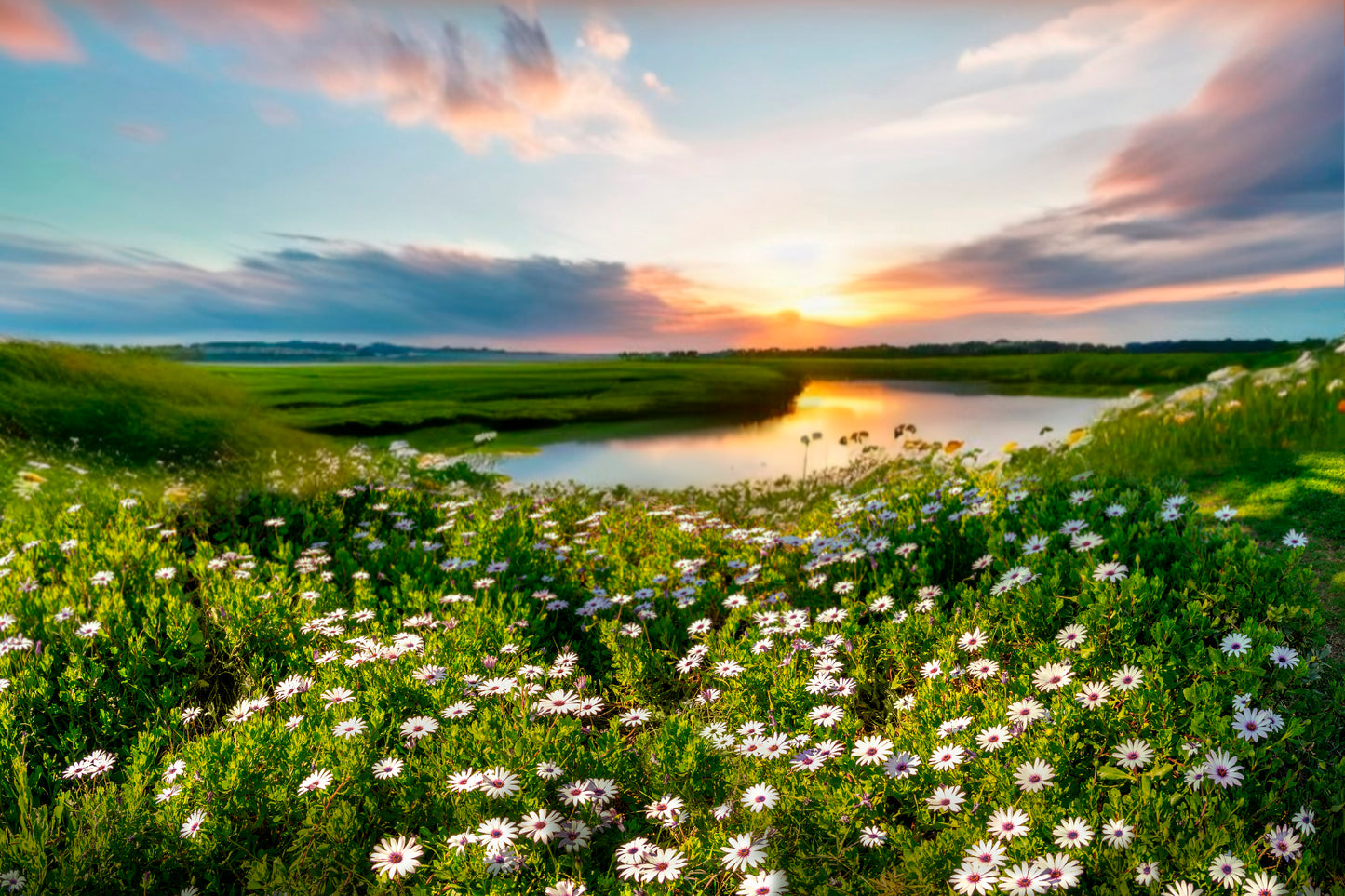 Summer Spring Natural With Lake & Wildflowers at Sunset Home Decor Premium Quality Poster Print Choose Your Sizes