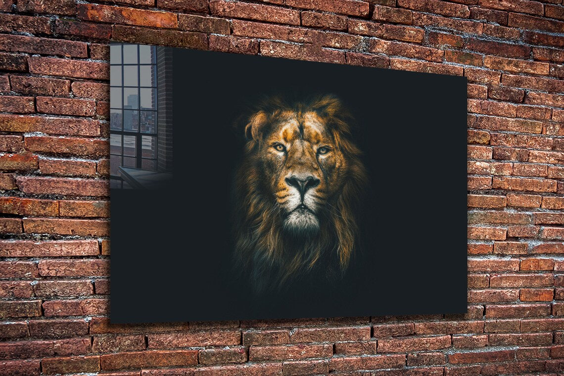 Lion on Dark Closeup UV Direct Aluminum Print Australian Made Quality