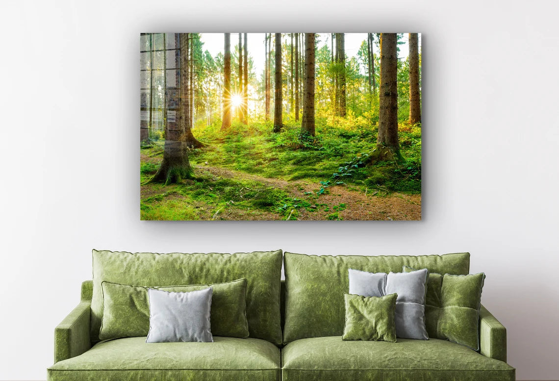 Forest Landscape View UV Direct Aluminum Print Australian Made Quality