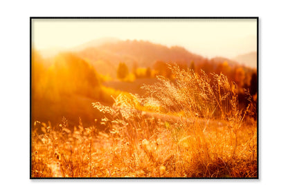 Field In the Sunlight Home Decor Premium Quality Poster Print Choose Your Sizes