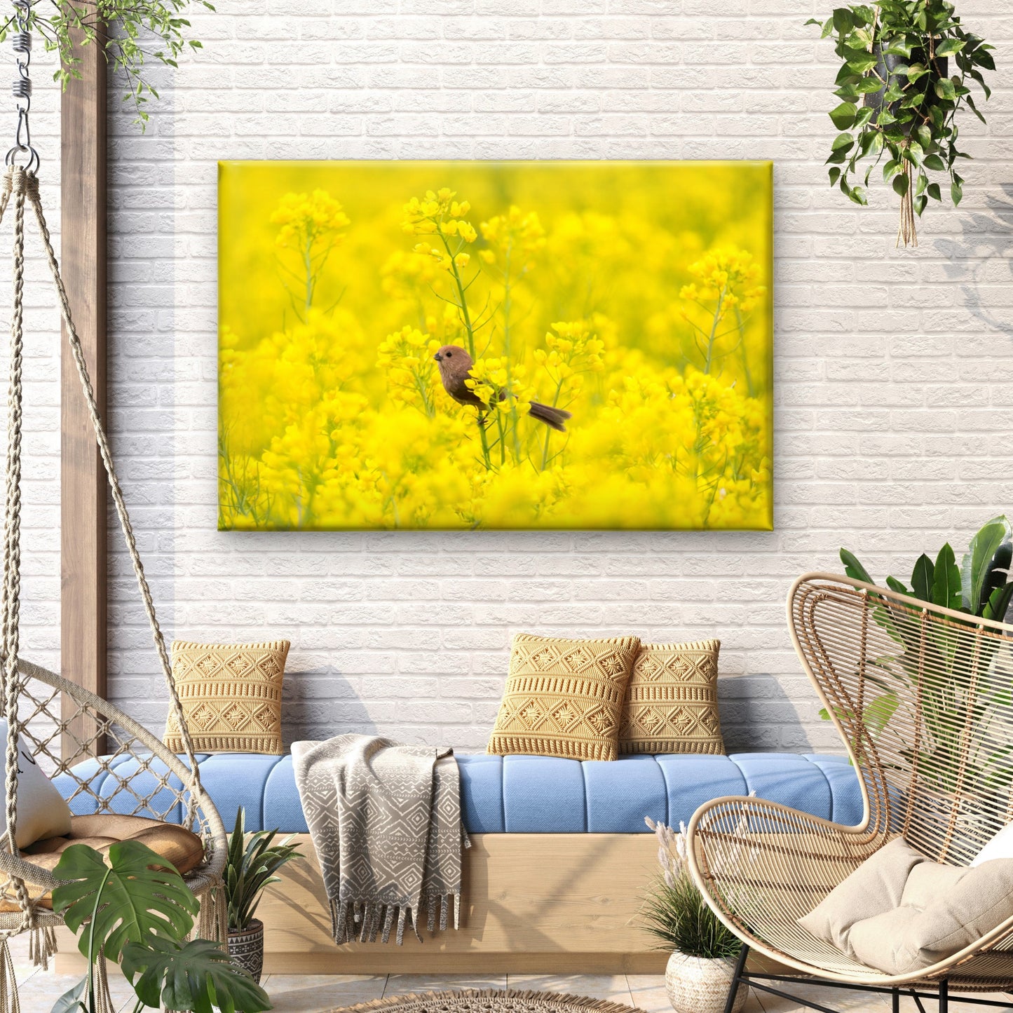 Bird in Rapeseed Field Korea Wall Art Decor 100% Australian Made
