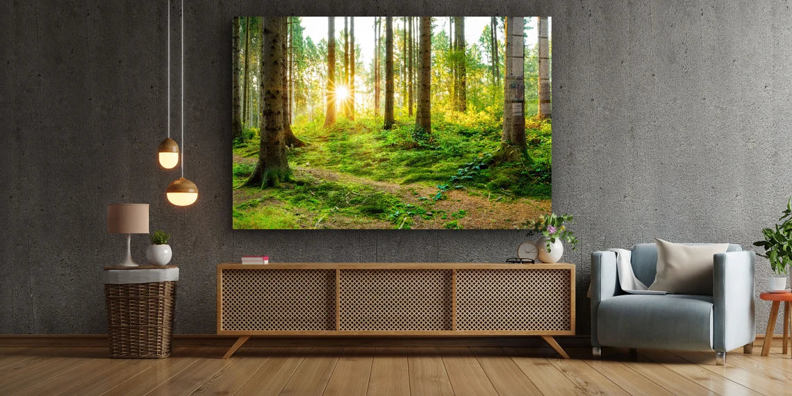 Forest Landscape View UV Direct Aluminum Print Australian Made Quality