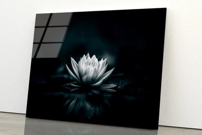 White Flower Is Sitting on A Black Surface Acrylic Glass Print Tempered Glass Wall Art 100% Made in Australia Ready to Hang