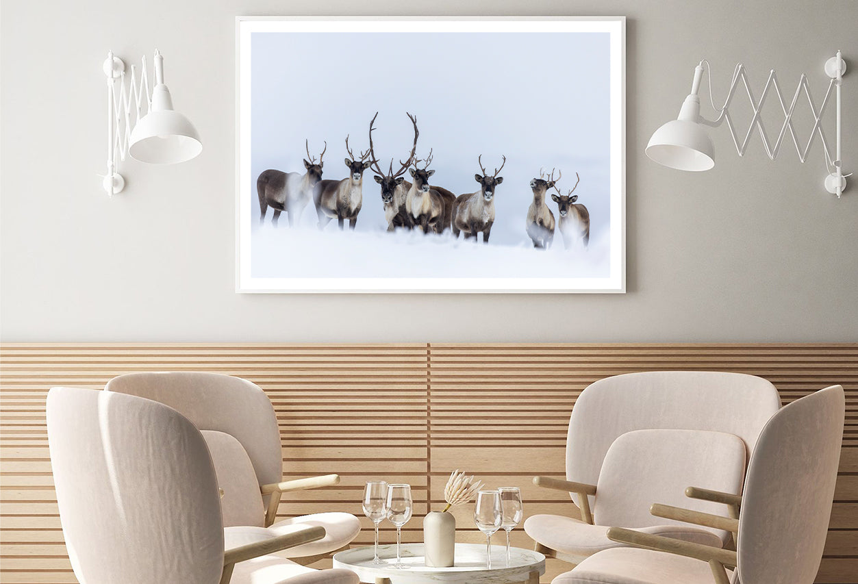 View of Herd of Caribou in the Snow Home Decor Premium Quality Poster Print Choose Your Sizes