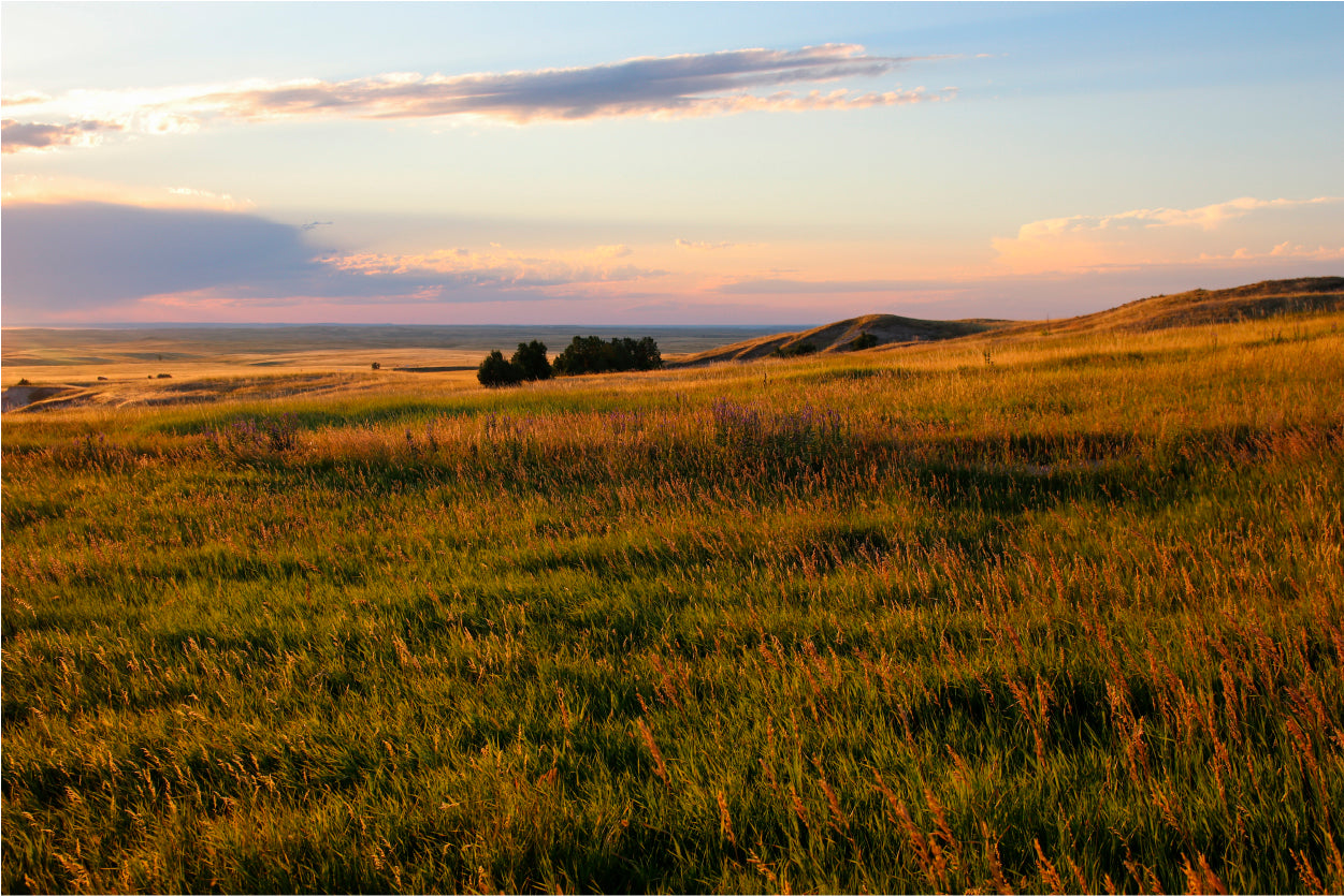 Sunset in South Dakota Home Decor Premium Quality Poster Print Choose Your Sizes