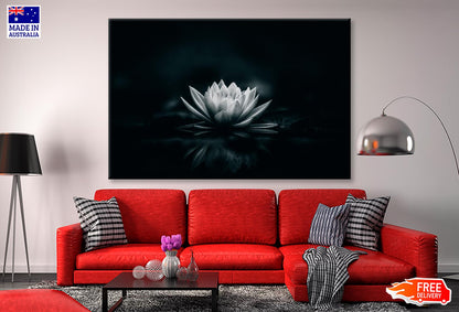 White Flower Is Sitting on A Black Surface Wall Art Decor 100% Australian Made