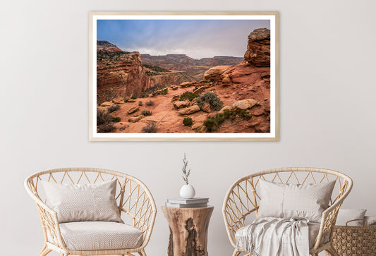 View of Rocks and Bushes with Mountains Home Decor Premium Quality Poster Print Choose Your Sizes