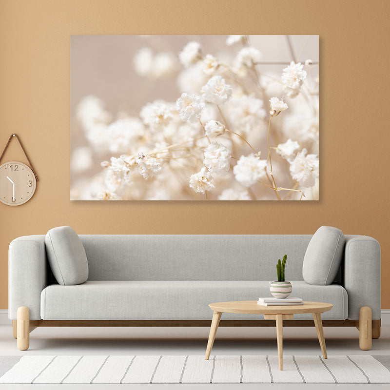 Dry Little White Flowers Acrylic Glass Print Tempered Glass Wall Art 100% Made in Australia Ready to Hang