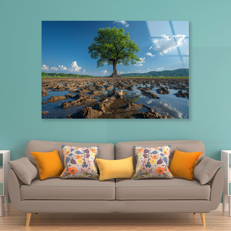 A Tree Is Standing In a Field Acrylic Glass Print Tempered Glass Wall Art 100% Made in Australia Ready to Hang