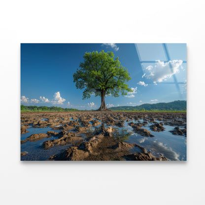 A Tree Is Standing In a Field Acrylic Glass Print Tempered Glass Wall Art 100% Made in Australia Ready to Hang