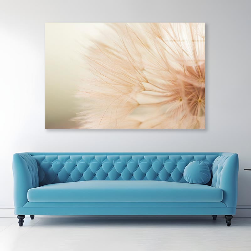 Close Up of a Dandelion with A Blurry Acrylic Glass Print Tempered Glass Wall Art 100% Made in Australia Ready to Hang