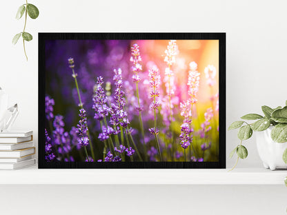 Lavender flowers Meadow & Sunset Glass Framed Wall Art, Ready to Hang Quality Print Without White Border Black