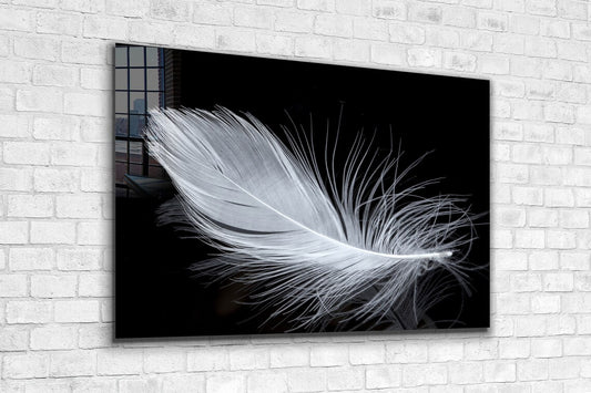 White Feather View UV Direct Aluminum Print Australian Made Quality