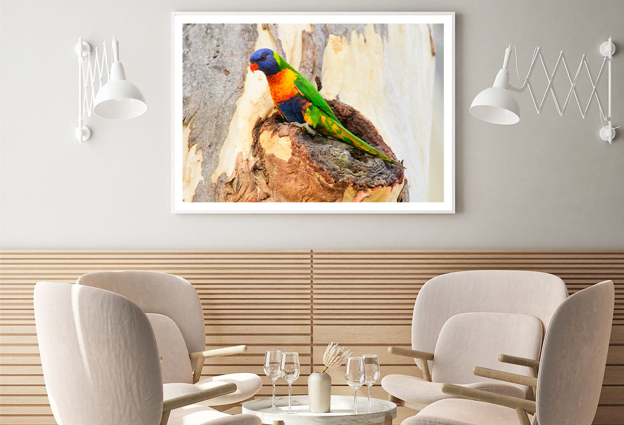 Rainbow Lorikeet Bird on Tree Home Decor Premium Quality Poster Print Choose Your Sizes