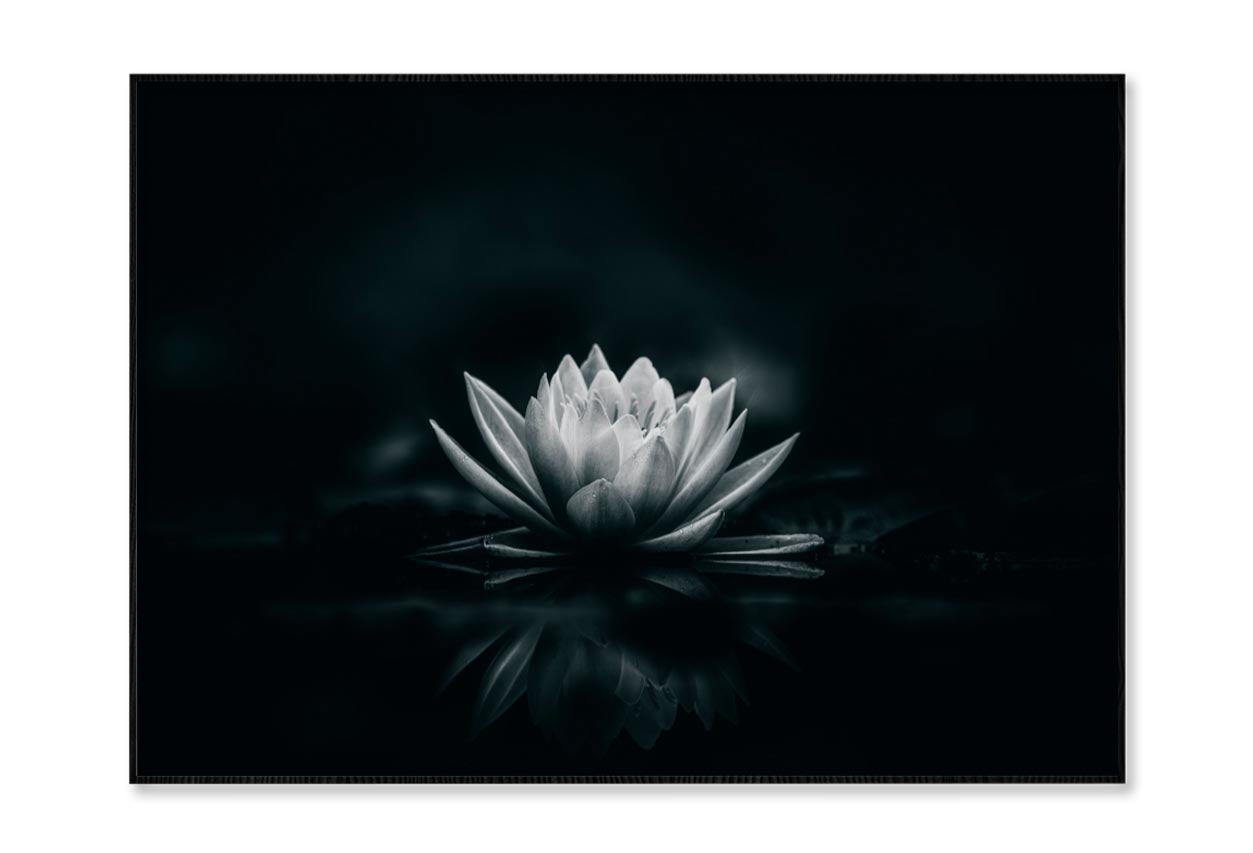 White Flower Is Sitting on A Black Surface Home Decor Premium Quality Poster Print Choose Your Sizes