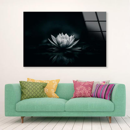 White Flower Is Sitting on A Black Surface Acrylic Glass Print Tempered Glass Wall Art 100% Made in Australia Ready to Hang