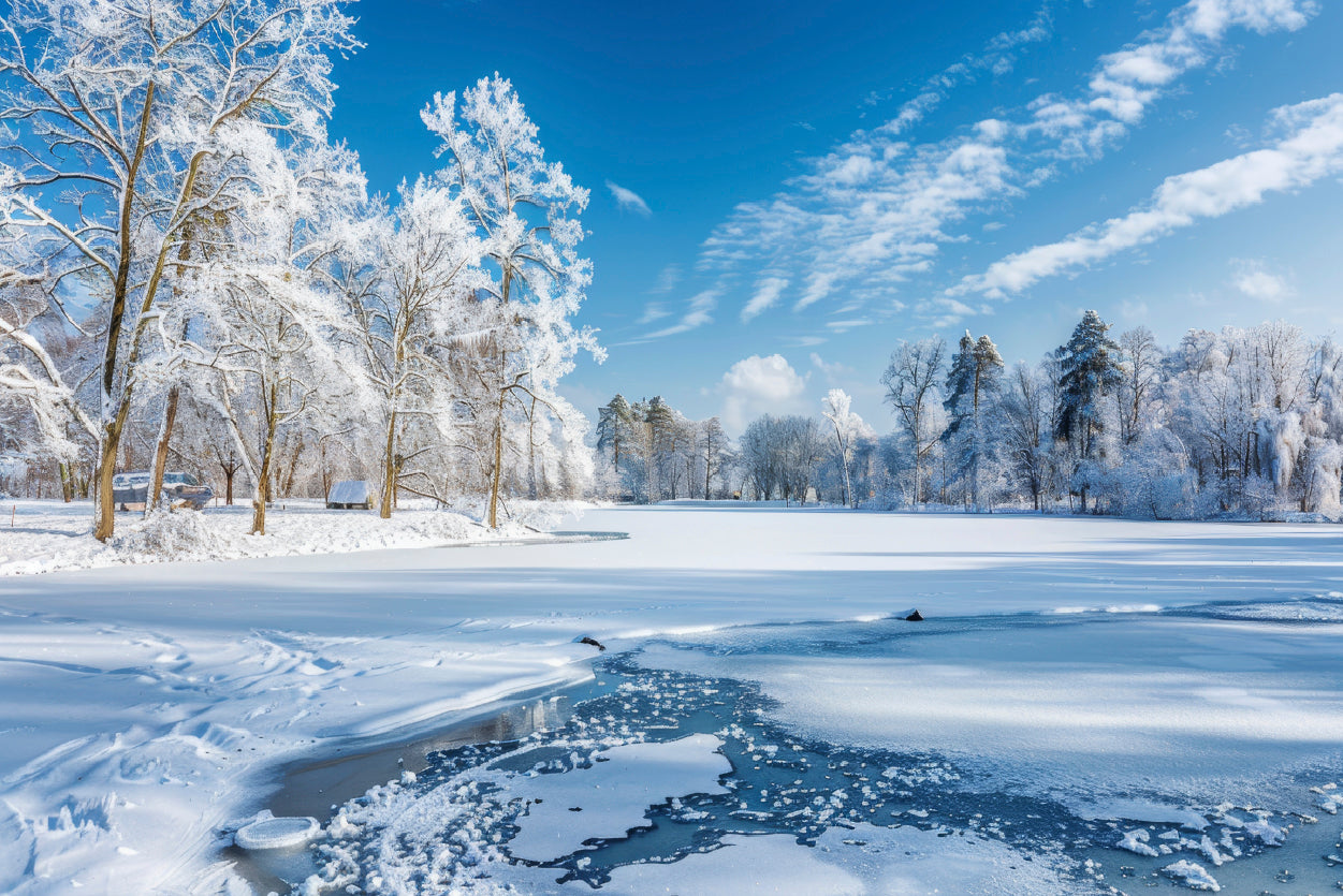 Winter, Frozen Lake and Snow-Covered Trees, Sky Print 100% Australian Made