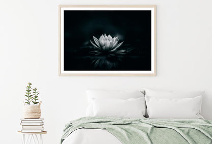 White Flower Is Sitting on A Black Surface Home Decor Premium Quality Poster Print Choose Your Sizes