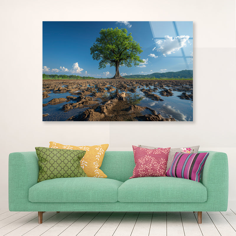 A Tree Is Standing In a Field Acrylic Glass Print Tempered Glass Wall Art 100% Made in Australia Ready to Hang