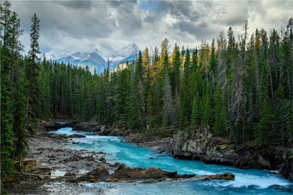 Autumn Forest River & Cloudy Sky Glass Framed Wall Art, Ready to Hang Quality Print