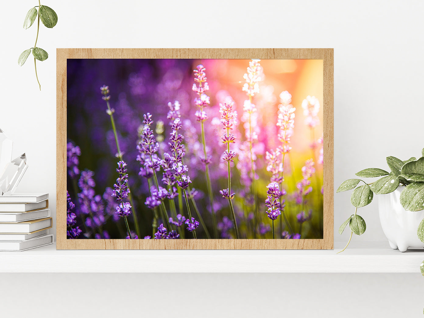 Lavender flowers Meadow & Sunset Glass Framed Wall Art, Ready to Hang Quality Print Without White Border Oak