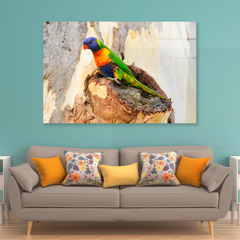 Rainbow Lorikeet Bird on Tree Acrylic Glass Print Tempered Glass Wall Art 100% Made in Australia Ready to Hang