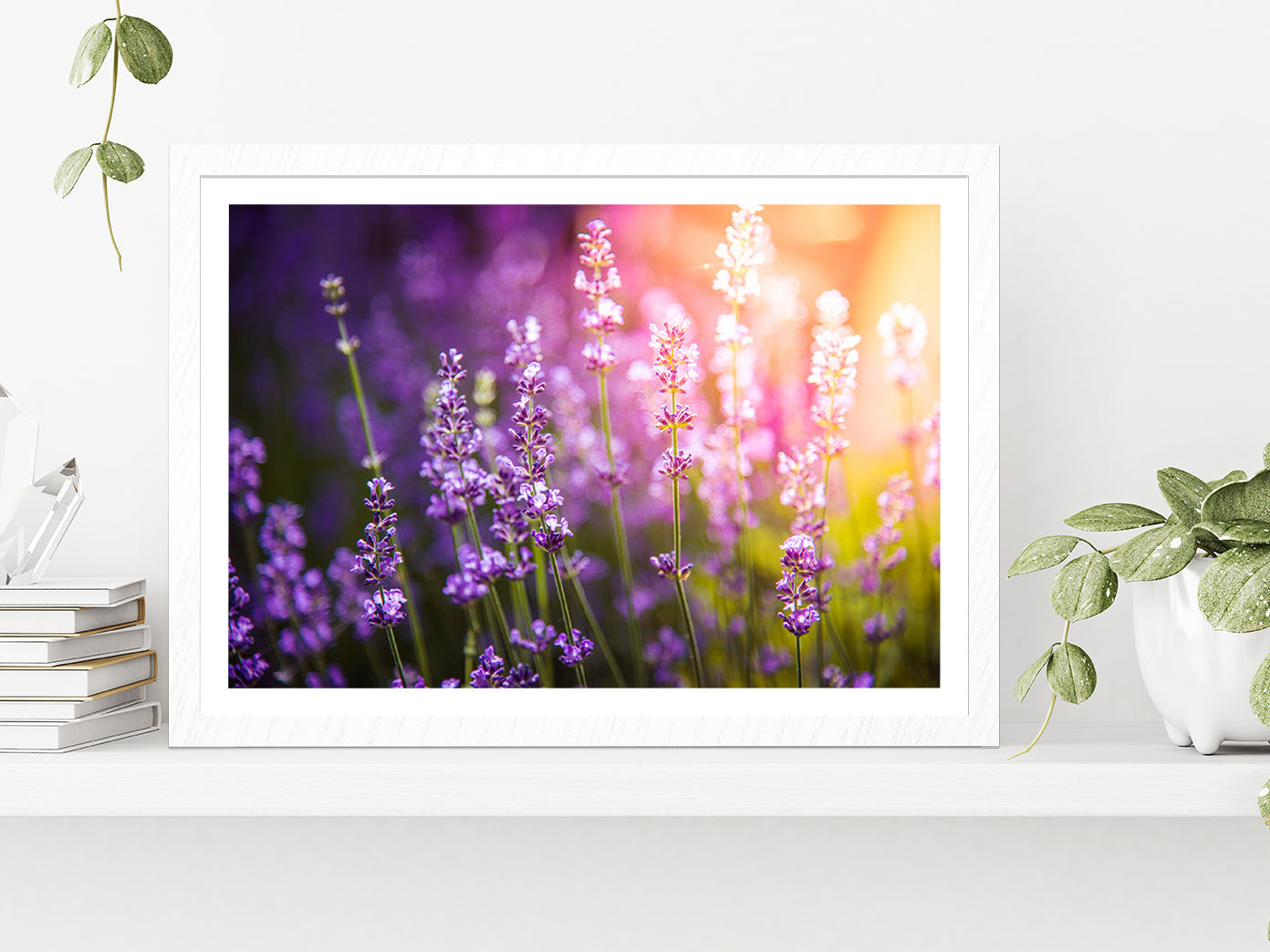 Lavender flowers Meadow & Sunset Glass Framed Wall Art, Ready to Hang Quality Print With White Border White