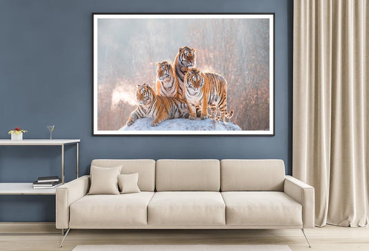 Siberian Tiger & Winter Home Decor Premium Quality Poster Print Choose Your Sizes