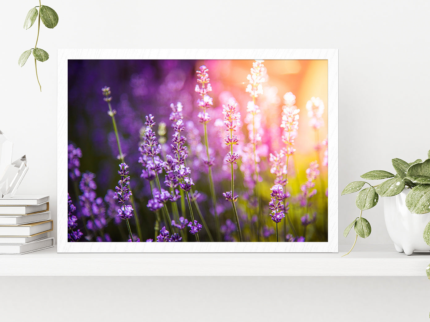 Lavender flowers Meadow & Sunset Glass Framed Wall Art, Ready to Hang Quality Print Without White Border White