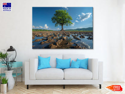 A Tree Is Standing In a Field Print 100% Australian Made