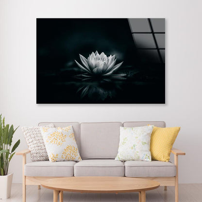 White Flower Is Sitting on A Black Surface Acrylic Glass Print Tempered Glass Wall Art 100% Made in Australia Ready to Hang